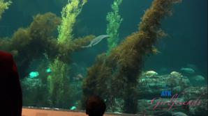 Leana Lovings Norcal Part 5